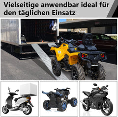 BMOT 2X Auffahrrampe Verladerampe Antirutsch